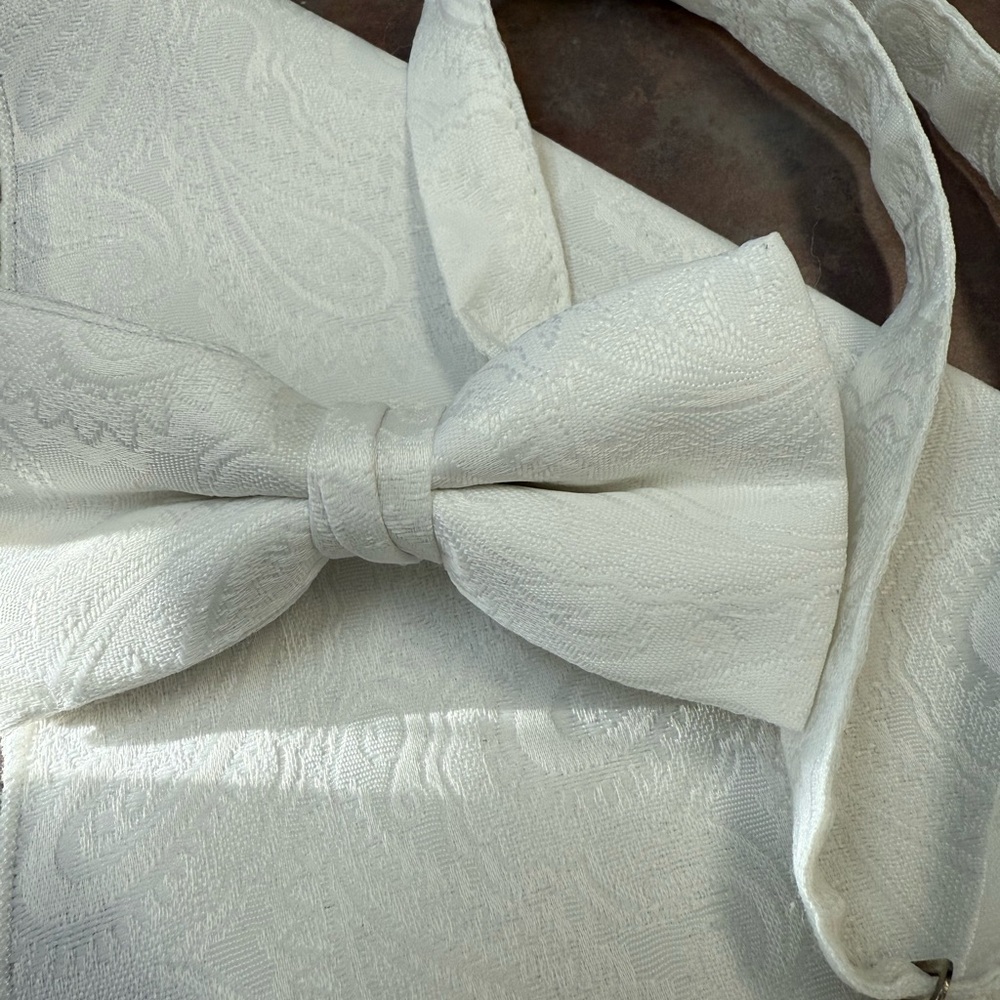 Vintage Elegant White Bow Tie